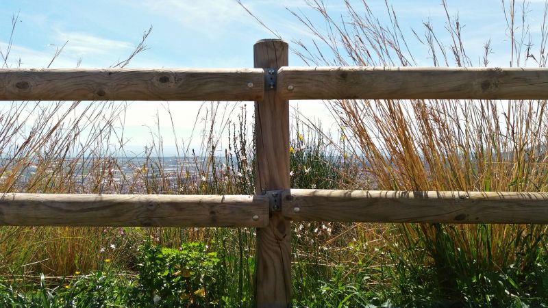 Stable Fencing Installation in Sacramento, CA